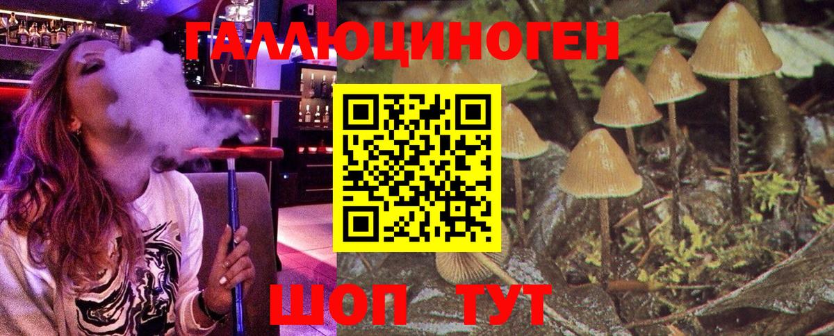 Галлюциногенные грибы мухоморы  закладки  Псилоцибиновые грибы мицелий  Люберцы  Вход с VPN 
